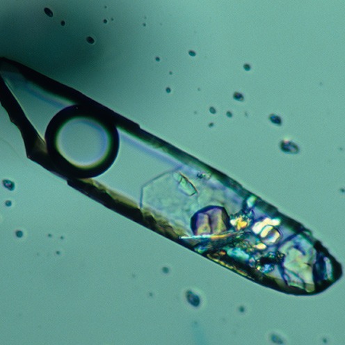 IMG - Topaz Microscope View 1 80622 496x496