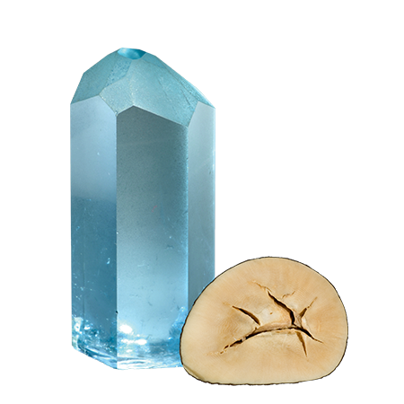 Inorganic and Organic