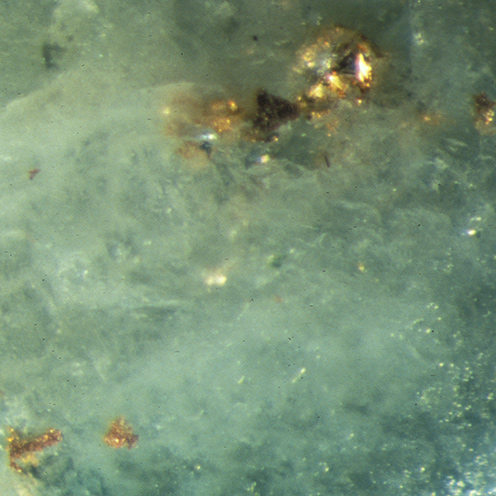 IMG - Jade Microscope View 1 18870 496x496