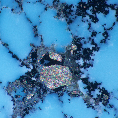 IMG - Turquoise Microscope View 2 66412 496x496