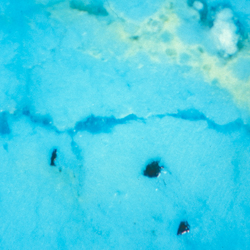 IMG - Turquoise Microscope View 3 22798 496x496