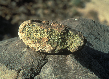 glossary weathering 14786 368x268